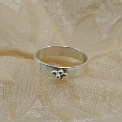 Ring bolletjes